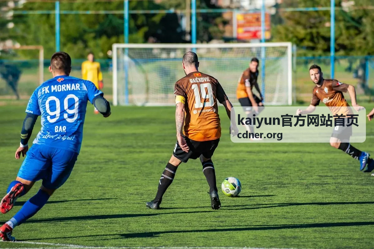 kaiyun官方网站首页 功能与安全保障栏目中的安全设置界面示意