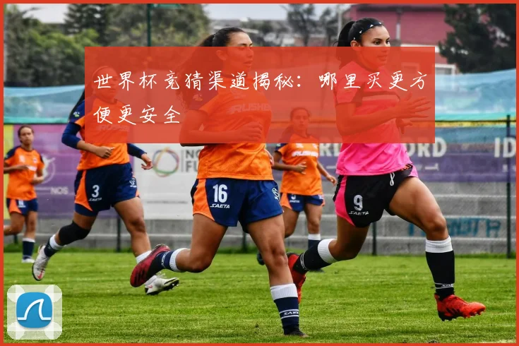 世界杯竞猜渠道揭秘：哪里买更方便更安全
