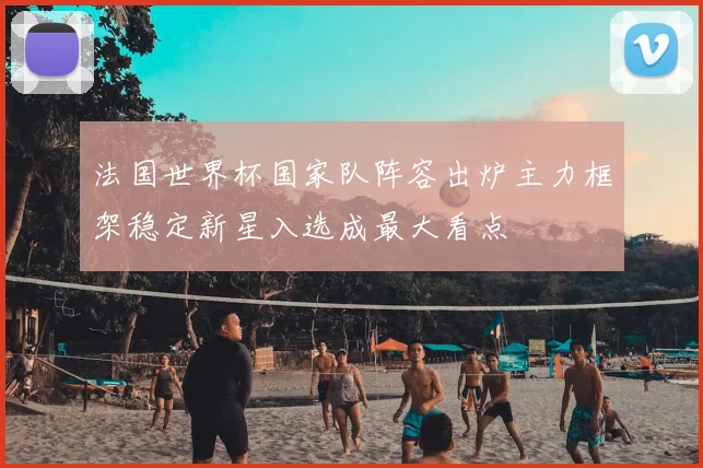法国世界杯国家队阵容出炉主力框架稳定新星入选成最大看点