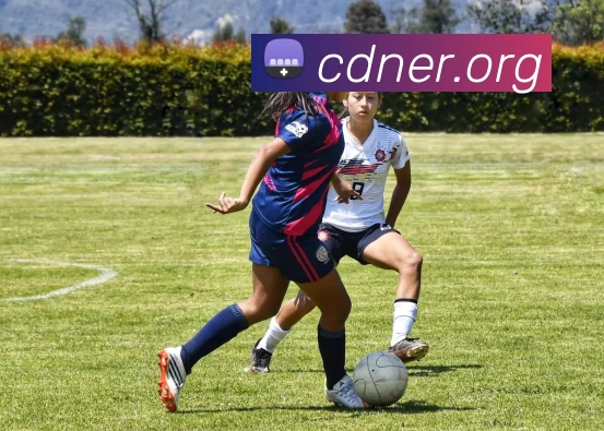 hth官网地址APP 封面图